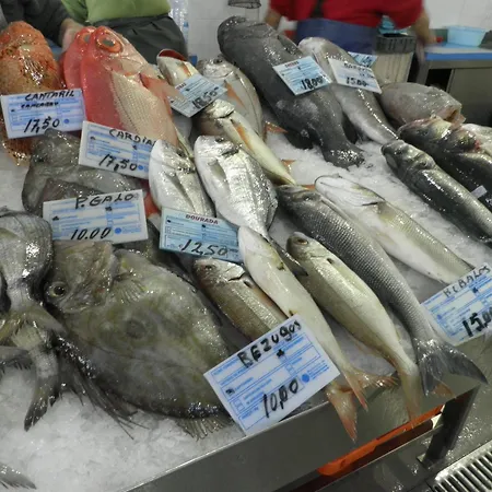 アパート 1 Bed Boutique-style サン・マルティーニョ・ド・ポルト