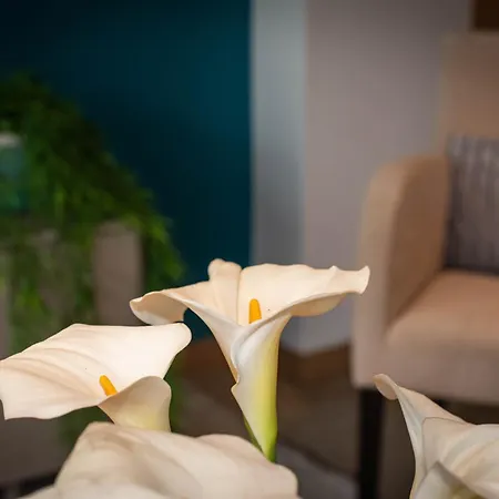 Apartament 1 Bed Boutique-style