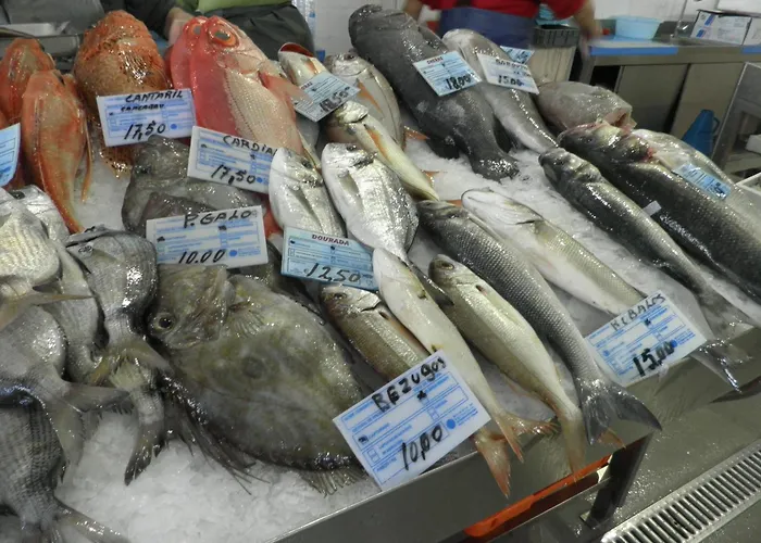 Lejlighed 1 Bed Boutique-style São Martinho do Porto