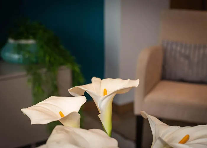 Apartamento 1 Bed Boutique-style